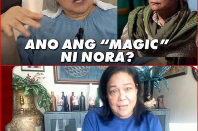 “HINDI AKO MARUNONG SUMUKO!” — LUHAANG NORA AUNOR, IBINULGAR ANG TUNAY NA PINAGMULAN NG KANYANG LAKAS! NAKAKAGULAT ANG MGA PANGALANG NABANGGIT!