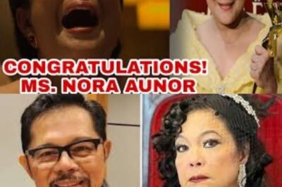 Breaking News: Nora Aunor Speaks Out About Filming with Christopher de Leon After Their Split — What Really Made the Superstar So Emotional /đh