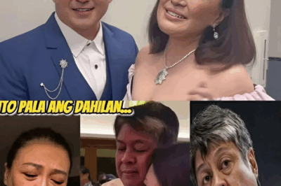The truth behind the breakup of SHARON CUNETA AND KIKO PANGILINAN, a love triangle from Gabby Concepcion revealed by short