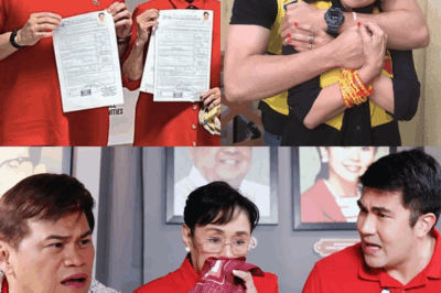 Vilma Santos Tinawag na Laos, Luis Manzano Umano’y Nalugi sa Politika: Ano ang Katotohanan sa Likod ng Kontrobersya?