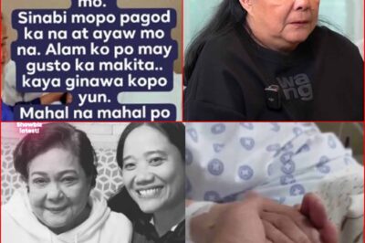 SA HULING SANDALI NI NORA AUNOR, ISANG TAO LANG ANG NASA TABI NIYA… Ang Kanyang Ibinunyag ay PUMUNIT SA PUSO NG LAHAT!