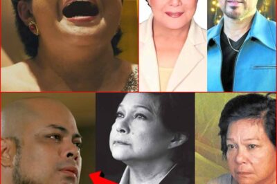 UNEXPECTED CONFESSION! Ibinunyag sila ni Nora Aunor at ng kanyang ex-husband na sikretong anak sa publiko!