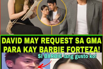 ‘Wag N’yo Siyang Pabayaan!’—David Licauco, UMIYAK sa Harap ng GMA Bosses Para sa Kapalaran ni Barbie Forteza!😭