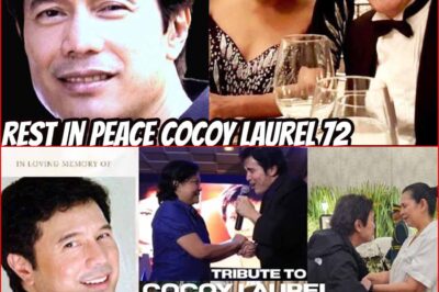 KAAWA-AWA ANG HULING SANDALI NI COCOY LAUREL—MAY KINALAMAN BA SA HULING PAGKIKITA NILA NI NORA AUNOR?